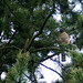 Kent Sharp Photo 12