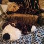 Marilyn King Photo 26