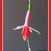 Daisy Bell Photo 16