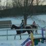 Jill Cartwright Photo 22
