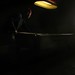Shane Pickett Photo 24