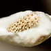 Lisa Pease Photo 47