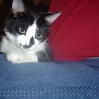 Lyle Tyler Photo 15