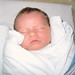 Toby Tobin Photo 5