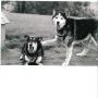 Carla Bates Photo 20