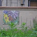 Paul Matson Photo 20