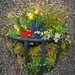 Julie Pennington Photo 16