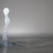Stephen Cannon Photo 18