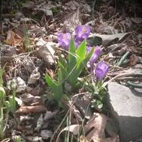 Leslie Hawley Photo 9