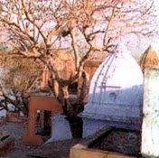 Aasim Khan Photo 6