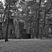 Frances Harden Photo 17
