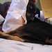 Gina Faulkner Photo 12