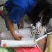 Tinh Le Photo 16