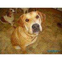 Rosemary Todd Photo 8