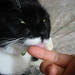Billy Lee Photo 6