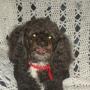 Janice Robbins Photo 24