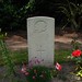 Winifred Holland Photo 6