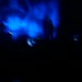 Lawrence Houston Photo 18