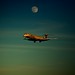 Douglas Fuller Photo 16