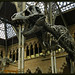 Rex English Photo 16
