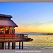 Barbara Goldman Photo 36