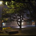 John Abbott Photo 30