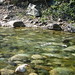 Renee Fish Photo 6