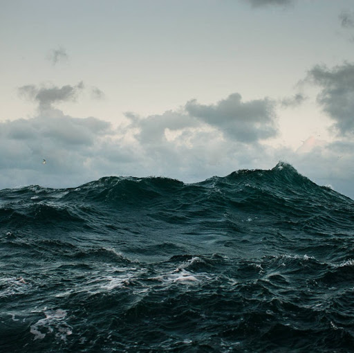Mark Blair Photo 28