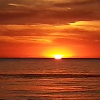 Stephen Connors Photo 37