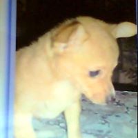 Geneva Greathouse Photo 3