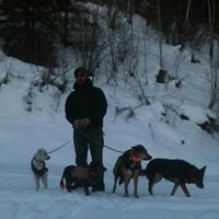 Francis Musso Photo 4