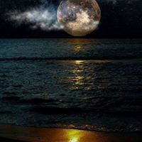 Julie Stevens Photo 35