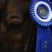 Diana Schaeffer Photo 14