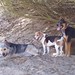 Charley Jones Photo 39