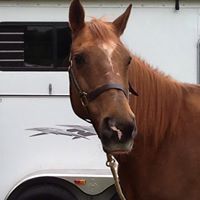 Amy Cannady Photo 5