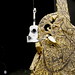 Patrick Littlefield Photo 21