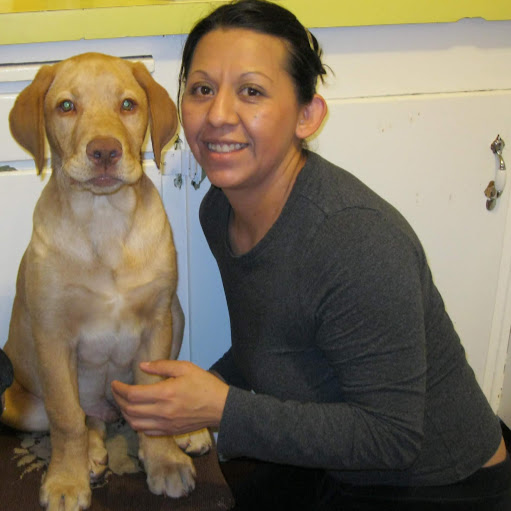 Rocky Torres Photo 2
