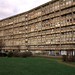 Robin Peters Photo 10