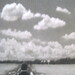 Deborah Heim Photo 17