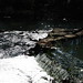 Gregory Mills Photo 28
