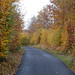 Kent Chestnut Photo 4