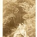 John Rieger Photo 32