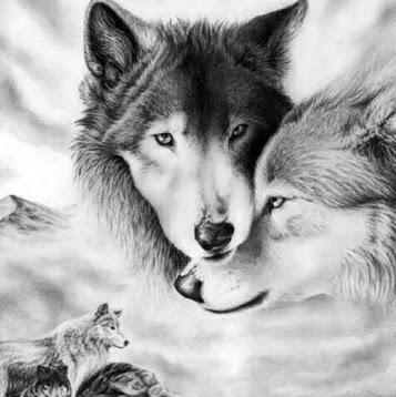 Donna Wills Photo 29