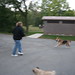 Ann Mclaughlin Photo 10