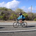 Marianne Callahan Photo 10