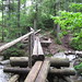 Lillian Brooks Photo 9