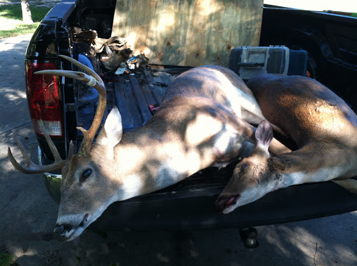 Matt Wojcik Photo 2