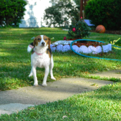 Anne Bucher Photo 16