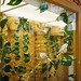 Anne Carlson Photo 12