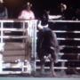 Tony Dozier Photo 22